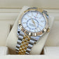 Rolex Sky-Dweller, 42mm, Oystersteel and 18k Yellow Gold, Ref# 336933-0006