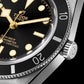 Tudor Black Bay 54, 37mm, Stainless Steel, Ref# M79000N-0002, Dial