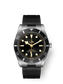 Tudor Black Bay 54, 37mm, Stainless Steel, Ref# M79000N-0002