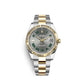 Rolex Datejust 41, 18k Yellow Gold and Stainless Steel, 41mm, Ref# 126333-0019