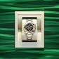 Rolex Cosmograph Daytona 40mm, Oystersteel and 18k Yellow Gold, Ref# 126503-0003, Watch in a box