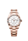 Rolex Sky-Dweller, 42mm, 18k Everose Gold, Ref# 336935-0003