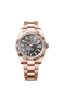 Rolex Sky-Dweller, 42mm, 18k Everose Gold, Ref# 336935-0004