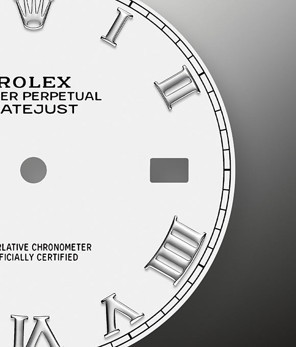 Dial Rolex Datejust 41 Oystersteel and white gold Ref# 126334-0024