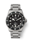 Tudor Pelagos, Titanium, 42mm, Ref# M25600TN-0001