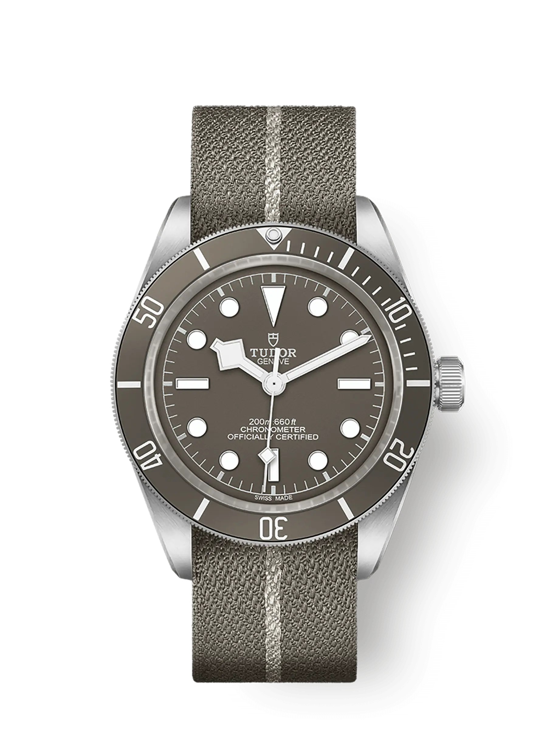 Tudor Black Bay Fifty-Eight 925, 39mm, 925 Silver, Ref# M79010SG-0002