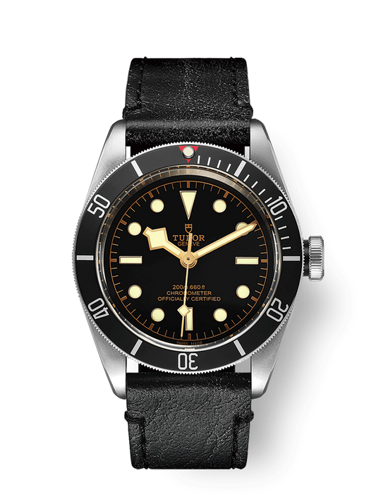 Tudor Black Bay, 41mm, Stainless Steel, Ref# M79230N-0008