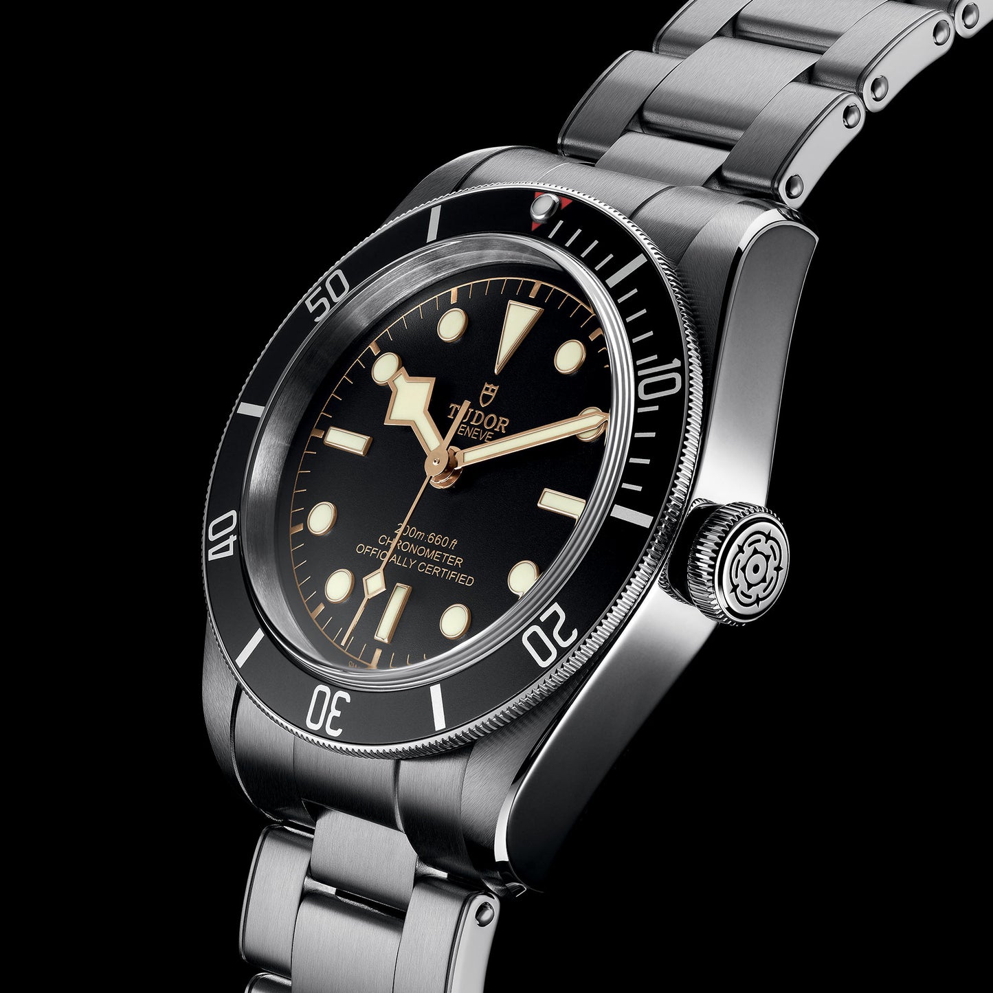 Tudor Black Bay, 41mm, Stainless Steel, Ref# M79230N-0009, Dial