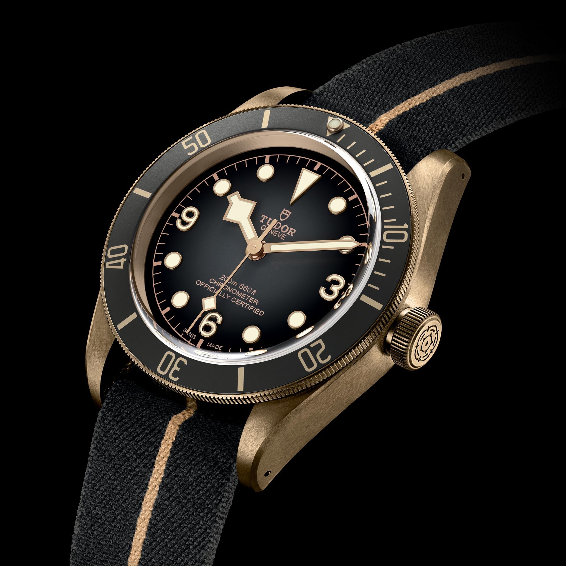 Tudor Black Bay Bronze, 43mm, Bronze, Ref# M79250BA-0002б Dial