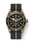 Tudor Black Bay Bronze, 43mm, Bronze, Ref# M79250BA-0002