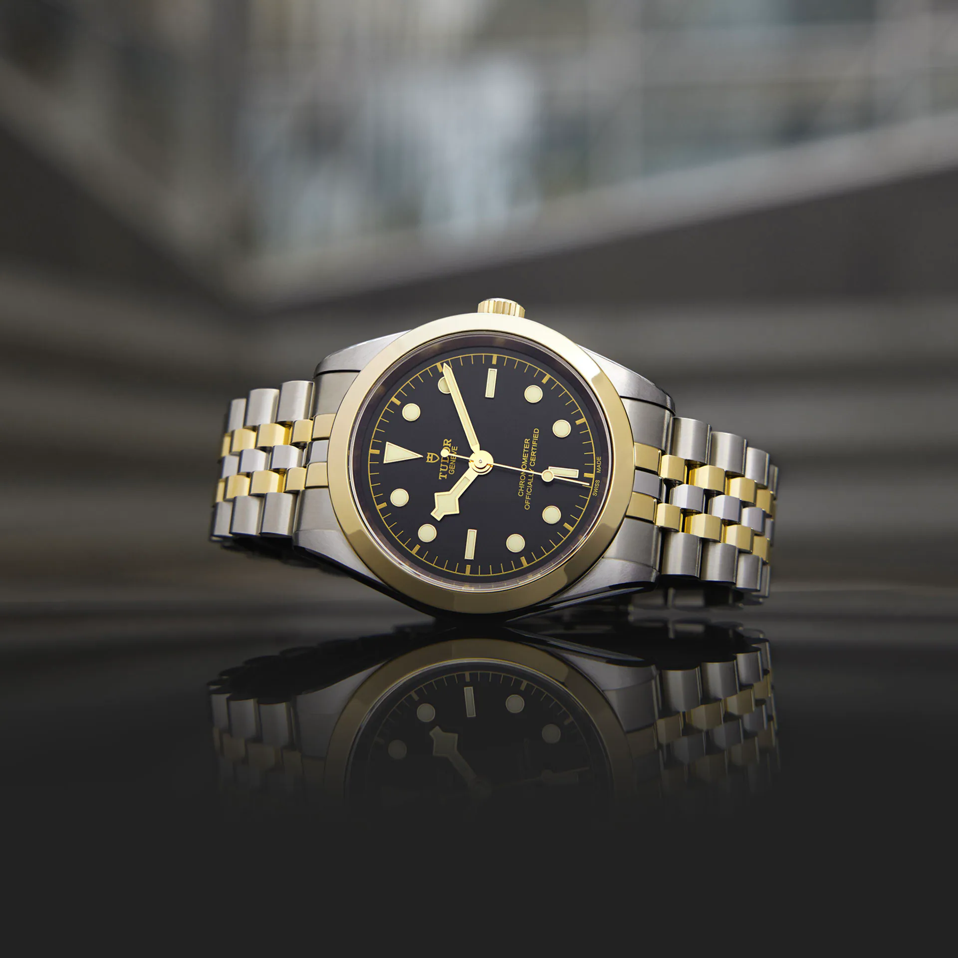 Tudor Black Bay 39 S&G, 316L Stainless Steel and 18k Yellow Gold, Ref# M79663-0001, main view