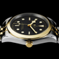 Tudor Black Bay 39 S&G, 316L Stainless Steel and 18k Yellow Gold, Ref# M79663-0001, Side