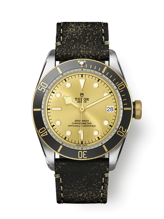 Tudor Black Bay S&G, 41mm, Stainless Steel and 18k Yellow Gold, Ref# M79733N-0003