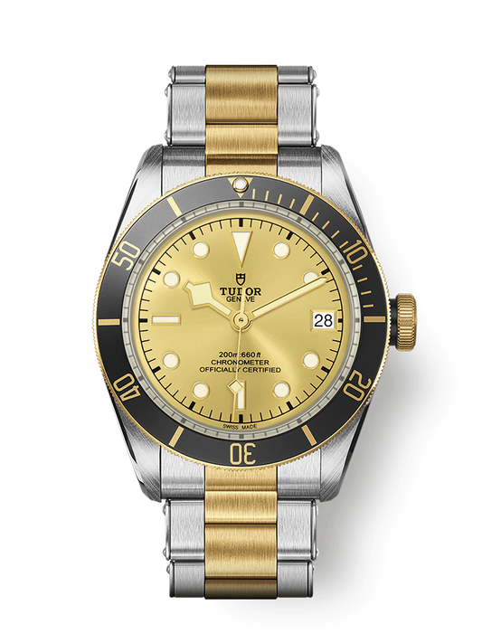 Tudor Black Bay S&G, 41mm, Stainless Steel and 18k Yellow Gold, Ref# M79733N-0004