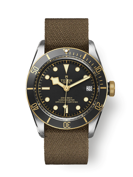 Tudor Black Bay S&G, 41mm, Stainless Steel and 18k Yellow Gold, Ref# M79733N-0007