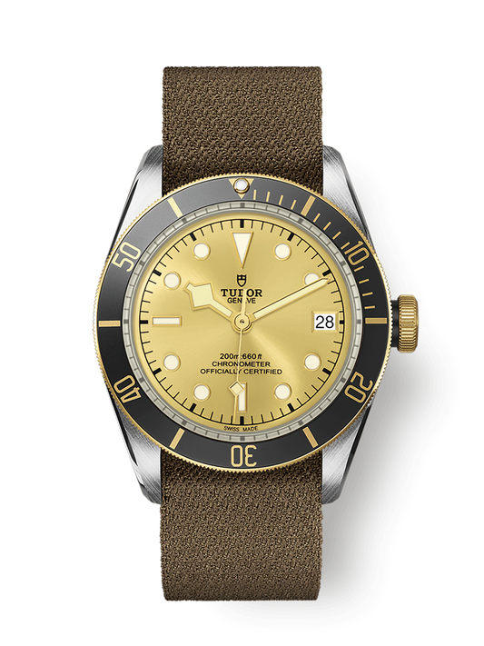 Tudor Black Bay S&G, 41mm, Stainless Steel and 18k Yellow Gold, Ref# M79733N-0006