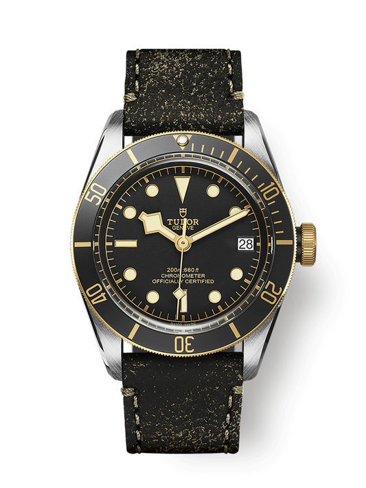 Tudor Black Bay S&G, 41mm, Stainless Steel and 18k Yellow Gold, Ref# M79733N-0007